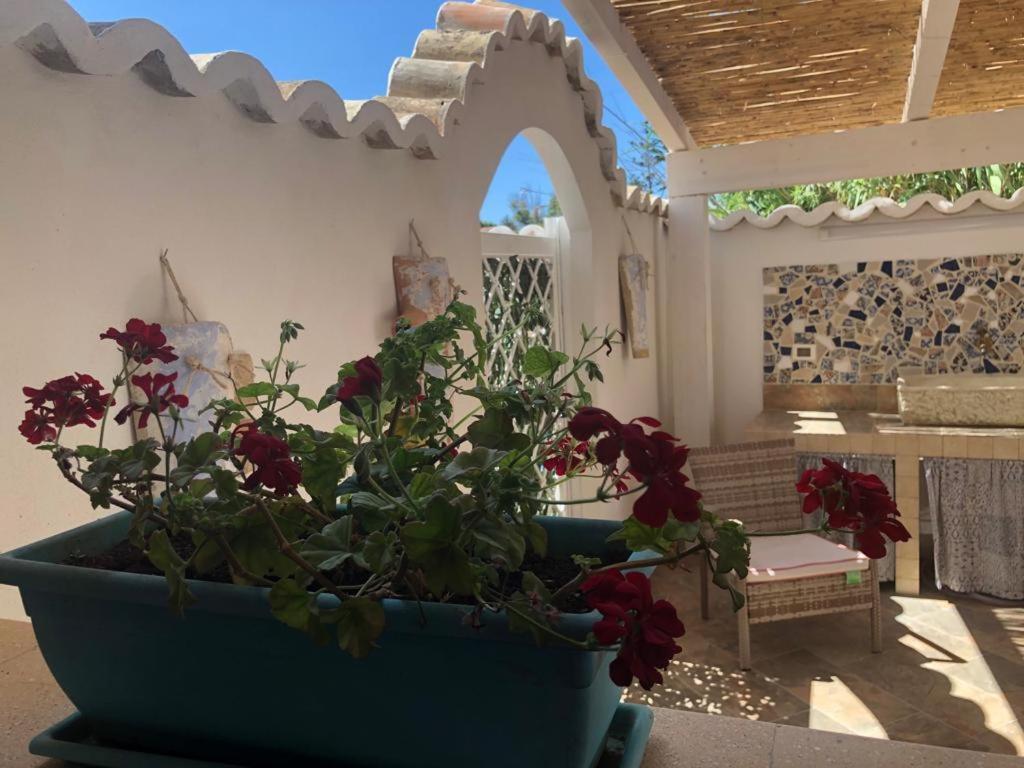 Cala Marina Holidays Villa ตรัปเปโต ภายนอก รูปภาพ